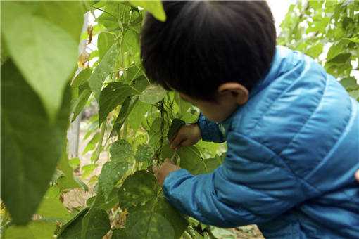 2020年藏在农村的暴利小生意有哪些（2020年有发展的小生意）