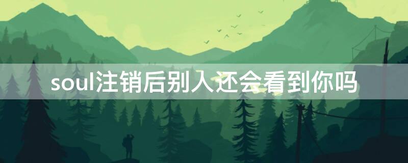 soul注销后别人还会看到你吗