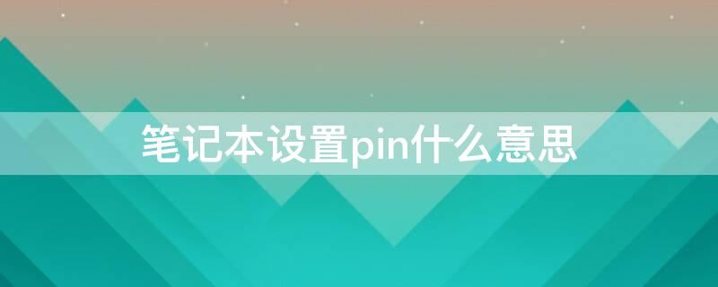 笔记本设置pin什么意思