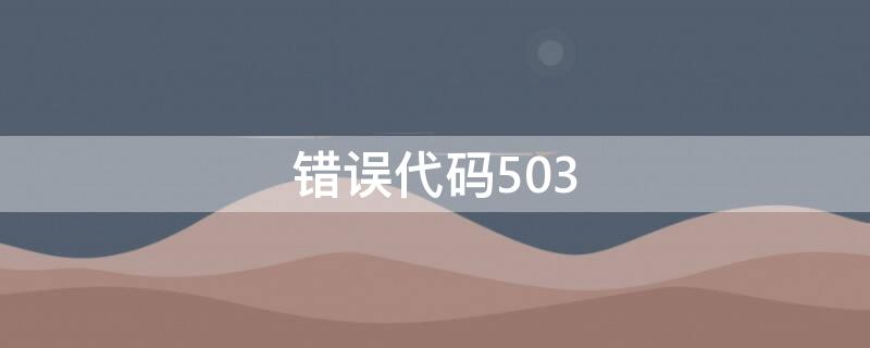 错误代码503