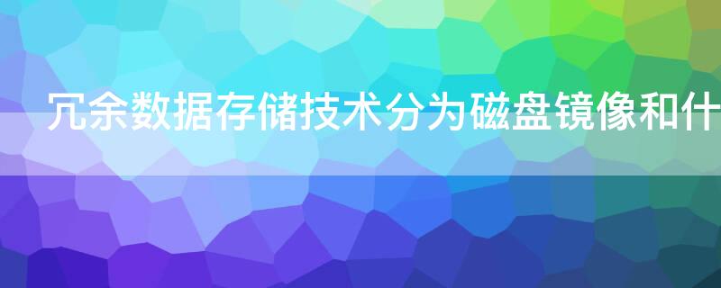 冗余数据存储技术分为磁盘镜像和什么