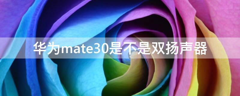 华为mate30是不是双扬声器