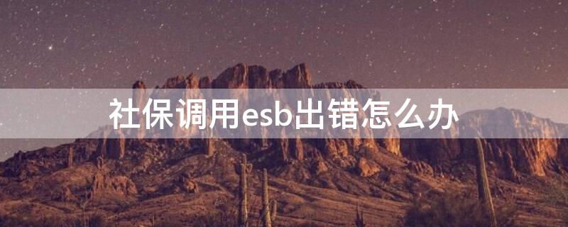 社保调用esb出错怎么办