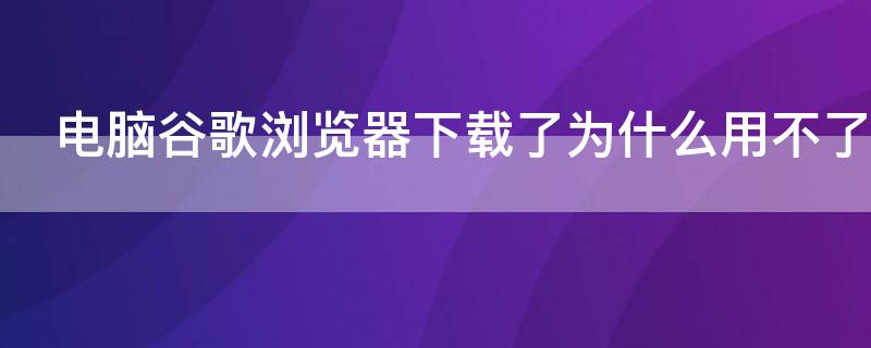 电脑谷歌浏览器下载了为什么用不了