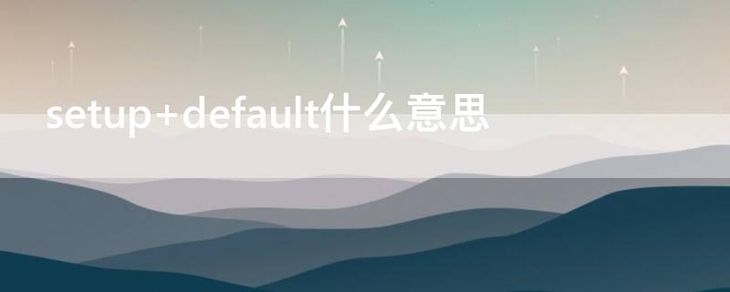 setup default什么意思