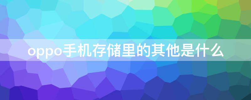 oppo手机存储里的其他是什么