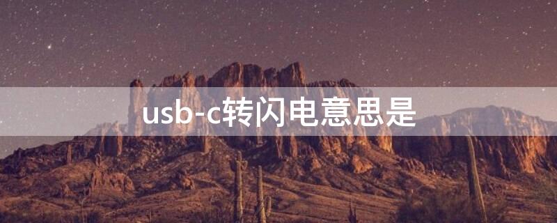 usb-c转闪电意思是