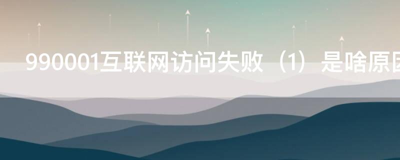 990001互联网访问失败（1）是啥原因