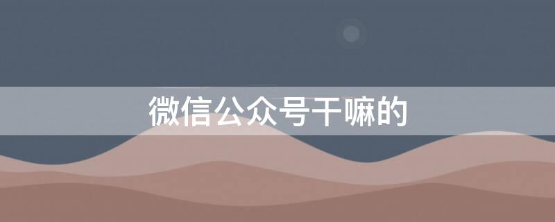 微信公众号干嘛的