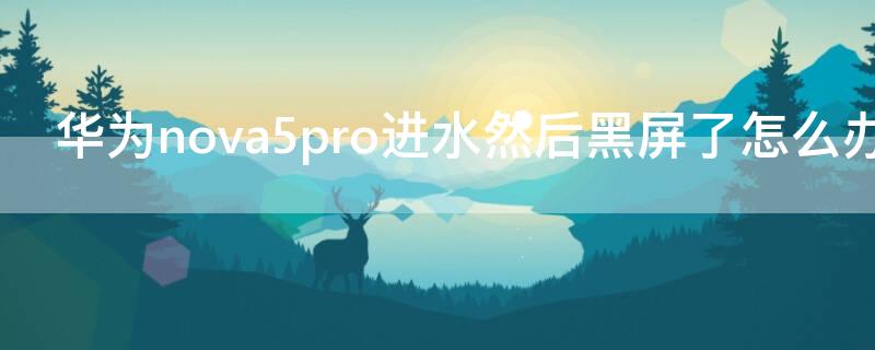 华为nova5pro进水然后黑屏了怎么办