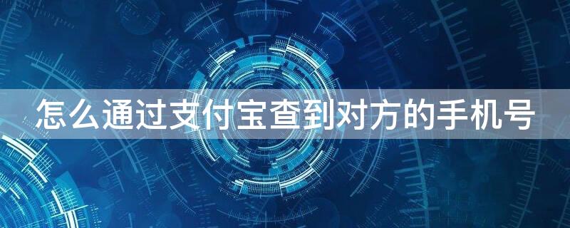 怎么通过支付宝查到对方的手机号
