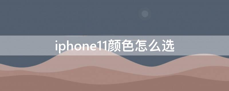 iPhone11颜色怎么选