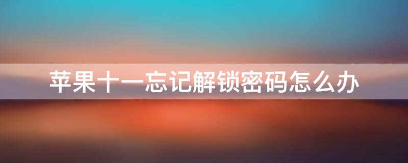 iPhone十一忘记解锁密码怎么办