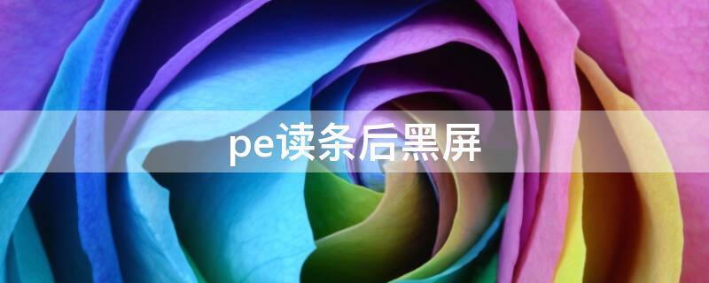 pe读条后黑屏