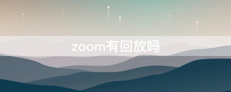 zoom有回放吗