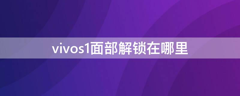 vivos1面部解锁在哪里