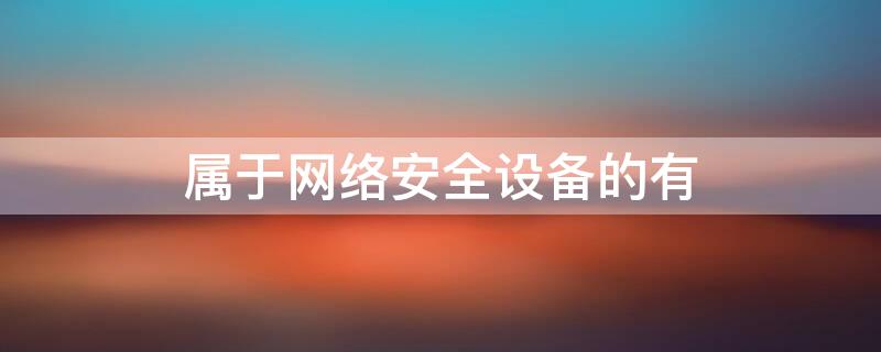 属于网络安全设备的有