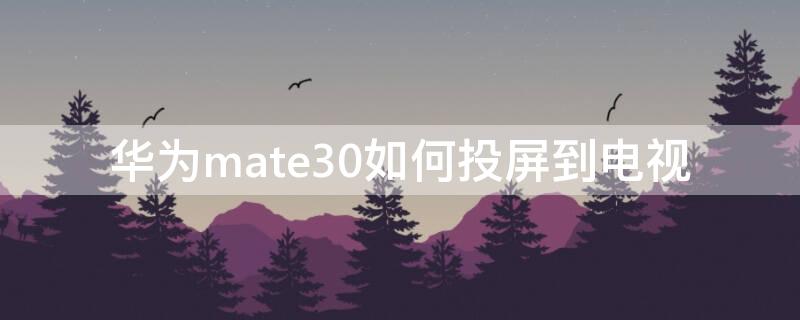 华为mate30如何投屏到电视