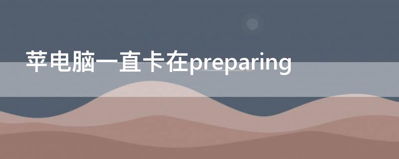 苹电脑一直卡在preparing