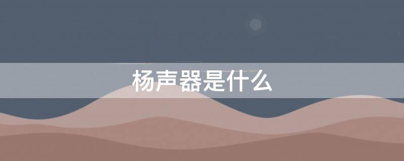 杨声器是什么