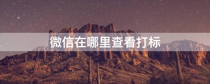 微信在哪里查看打标
