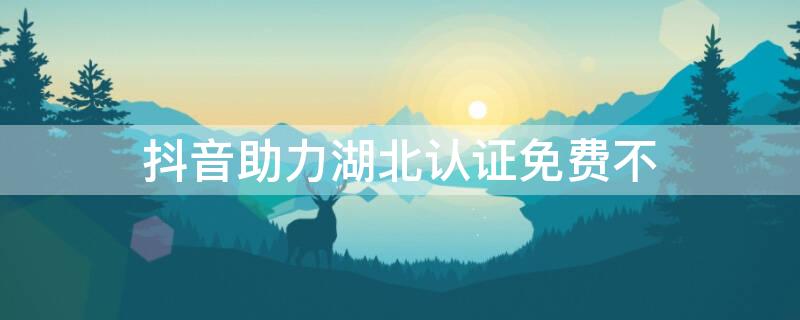 抖音助力湖北认证免费不