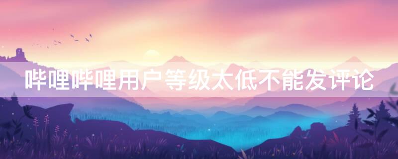 哔哩哔哩用户等级太低不能发评论