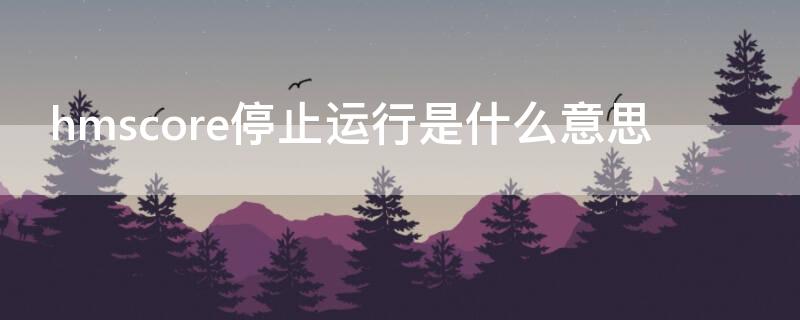 hmscore停止运行是什么意思