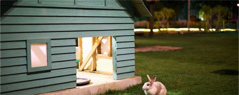 小兔子怎么过冬 小兔子怎么过冬的方法