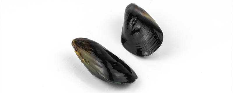 淡菜是什么菜是牡蛎吗 牡蛎是荤菜吗