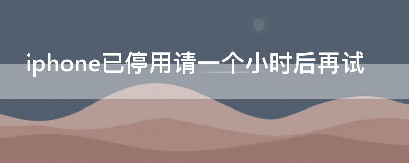 iPhone已停用请一个小时后再试