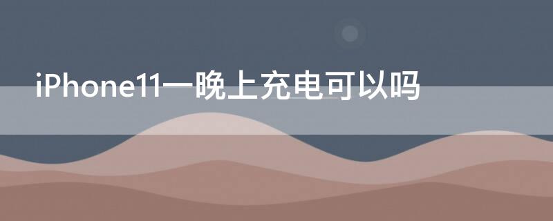 iPhone11 pro一晚上充电可以吗