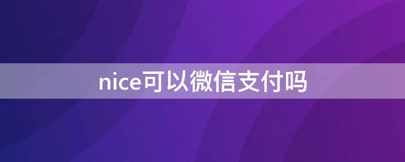 nice可以微信支付吗