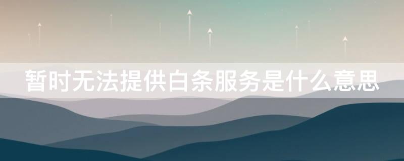 暂时无法提供白条服务是什么意思