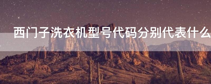 西门子洗衣机型号代码分别代表什么意思