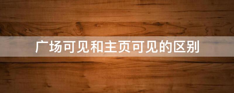 广场可见和主页可见的区别