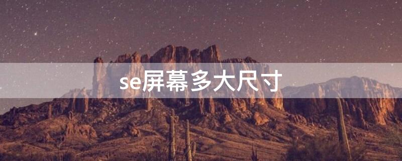 se屏幕多大尺寸