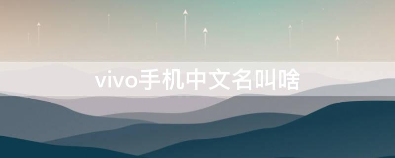 vivo手机中文名叫啥