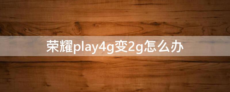 荣耀play4g变2g怎么办