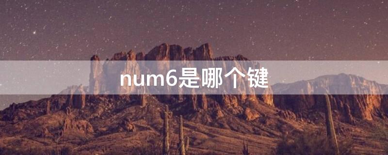 num6是哪个键