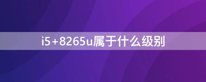 i5 8265u属于什么级别