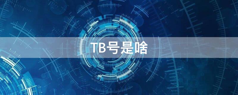 TB号是啥