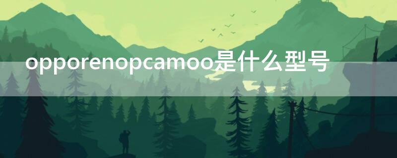 opporenopcamoo是什么型号