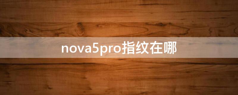 nova5pro指纹在哪