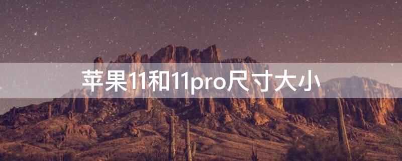 iPhone11和11pro尺寸大小