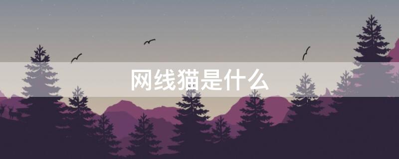 网线猫是什么