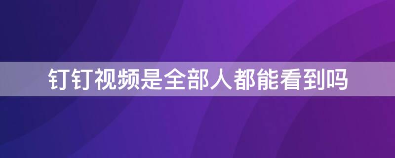 钉钉视频是全部人都能看到吗