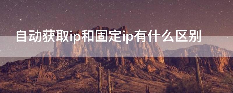 自动获取ip和固定ip有什么区别