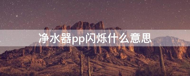 净水器pp闪烁什么意思