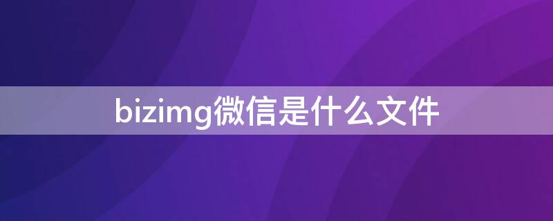 bizimg微信是什么文件